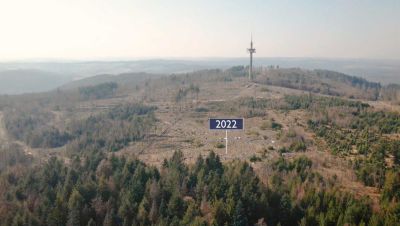 Waldsterben
