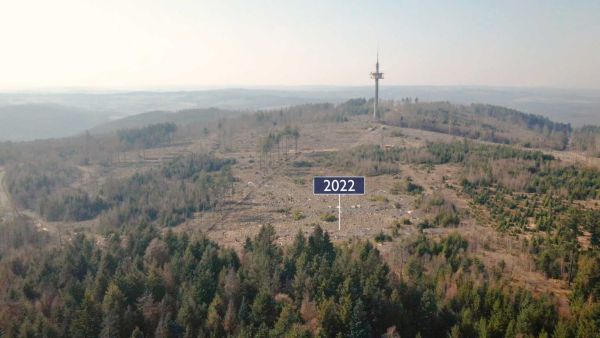 Waldsterben
